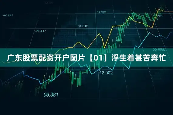 广东股票配资开户图片【01】浮生着甚苦奔忙